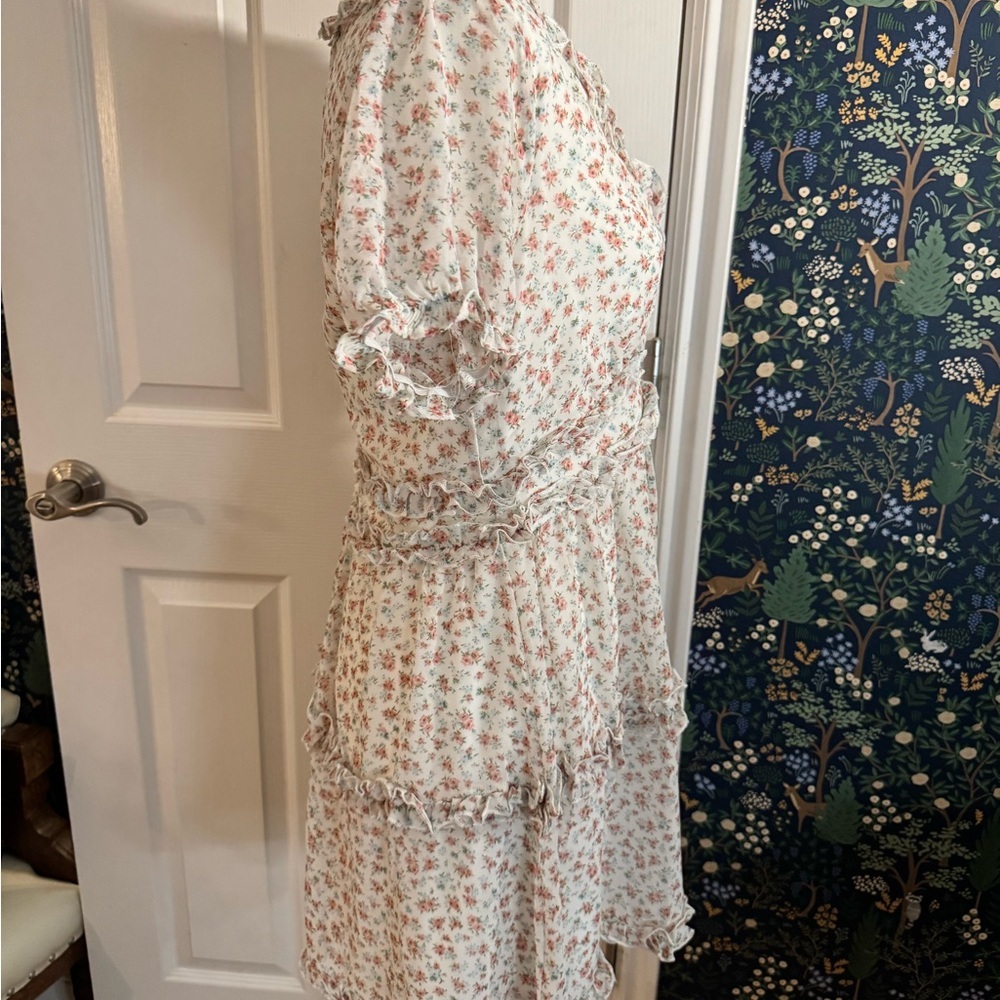 Trixxi Pink Floral Ruffle Mini Dress - Picture 3 of 5